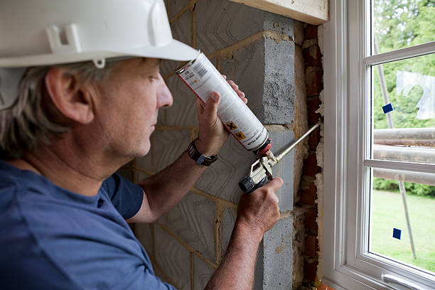 Best Spray Foam Insulation  in Nowthen, MN